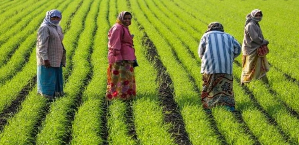 SBI General Launches Massive Awareness Campaign And Supports Farmer ...