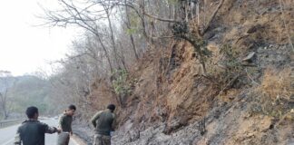 Swift action by troops prevents forest fire near Moreh ICP