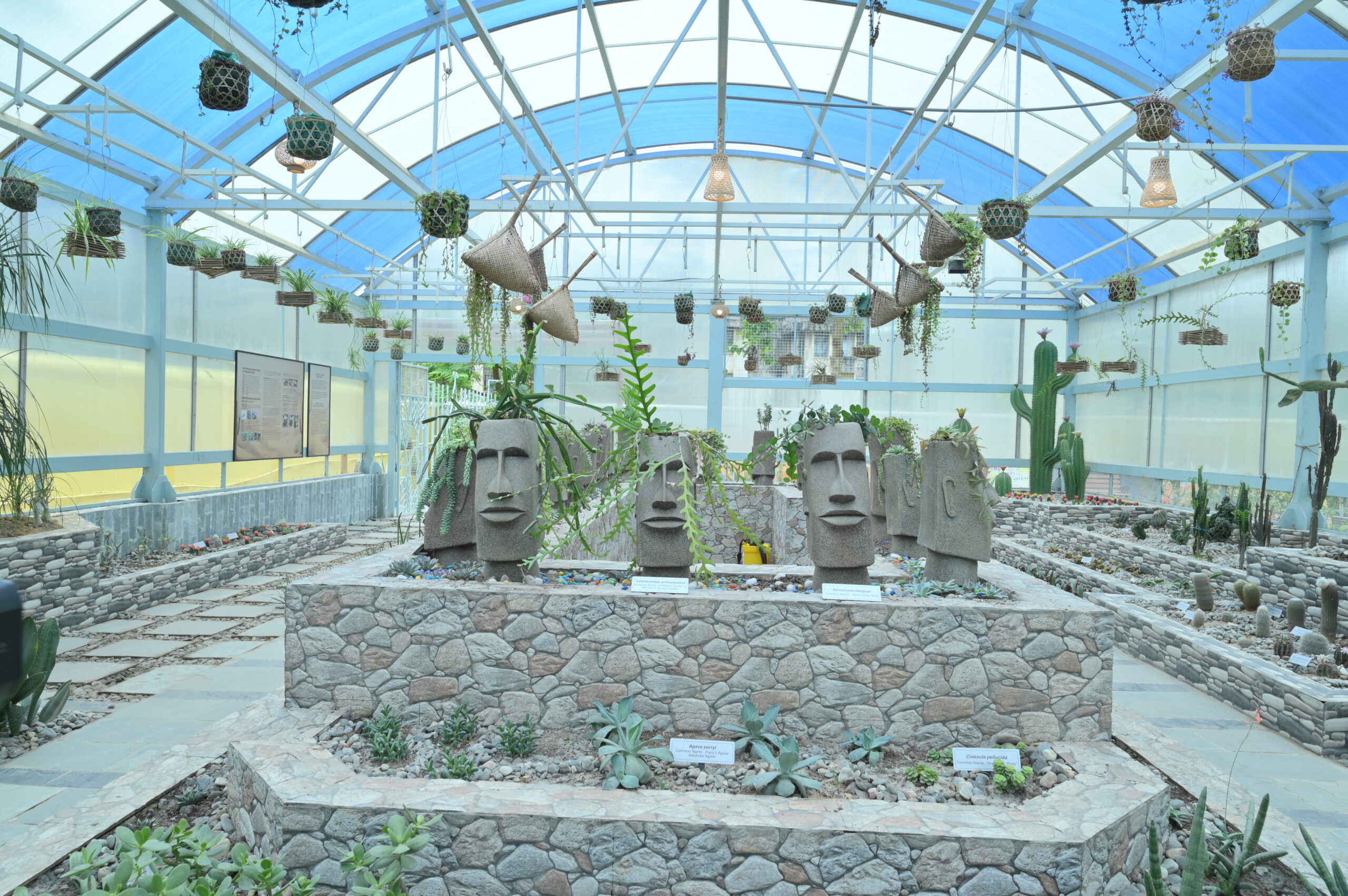 NSC Guwahati marks international museum day with orchid and cactus garden launch