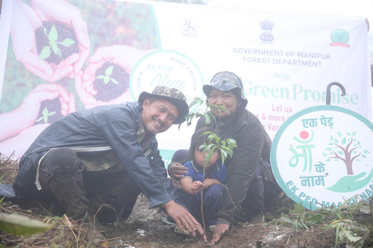 Tengnoupal plants 58,900 saplings during Van Mahotsav